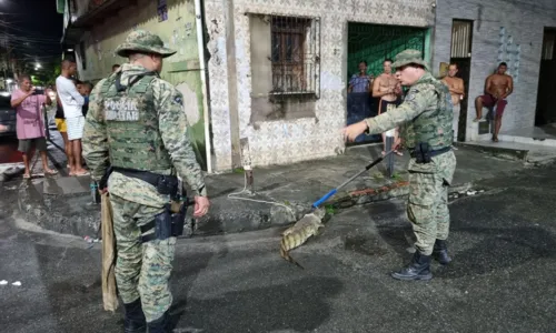 
				
					Inema recebe animais silvestres resgatados durante as chuvas na Bahia
				
				