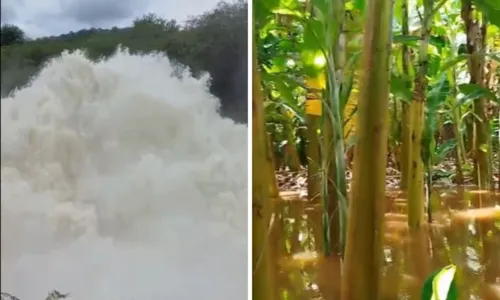 
				
					Jeremoabo, Canudos e mais: chuva atinge diversas cidades da Bahia
				
				