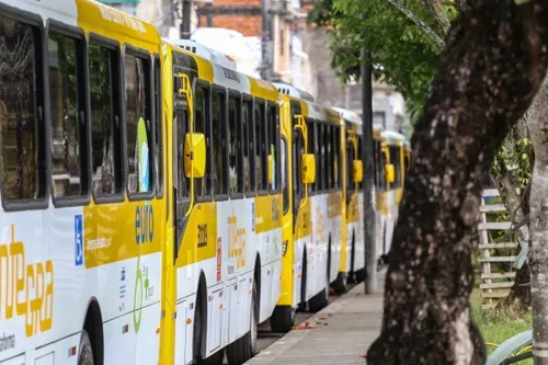 
				
					Linhas de ônibus de Salvador tem alterações a partir deste sábado (30)
				
				