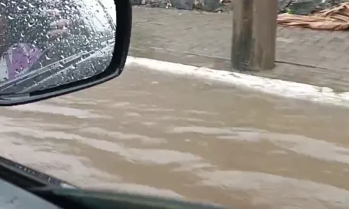 
				
					Mais de 2 mil pessoas foram afetadas pela chuva em Salvador
				
				