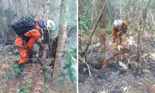 
				
					Mais de 200 bombeiros combatem incêndios em 14 cidades baianas
				
				