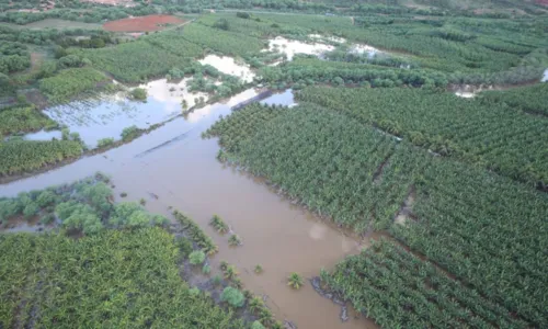 
				
					Mais de 45 municípios estão em 'situação de emergência' na Bahia
				
				