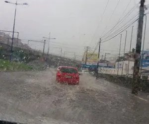 
				
					Mau tempo: Codesal recebeu mais de 80 chamadas por conta das chuvas
				
				