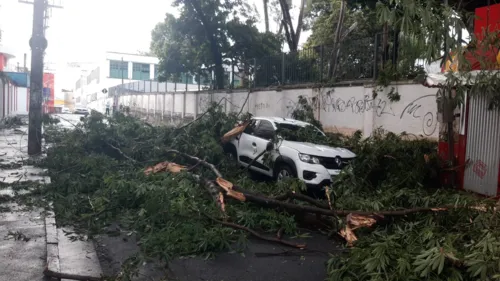 
				
					Mau tempo: rajadas de vento em Salvador atingem o pico de 63 km/h
				
				