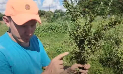 
				
					Merece estudo: pedreiro vegano inventa 'chapisco vegetariano'
				
				