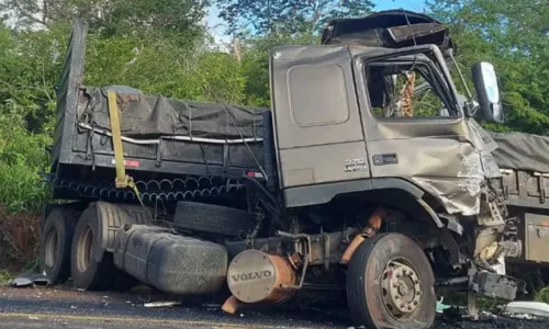 
				
					Motorista de ônibus morre após batida com caminhão em rodovia da Bahia
				
				