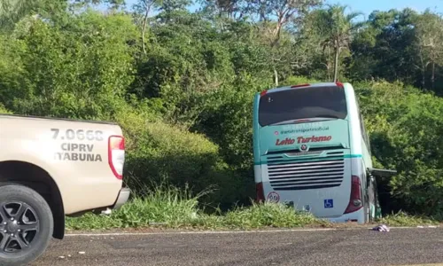 
				
					Motorista de ônibus morre após batida com caminhão em rodovia da Bahia
				
				