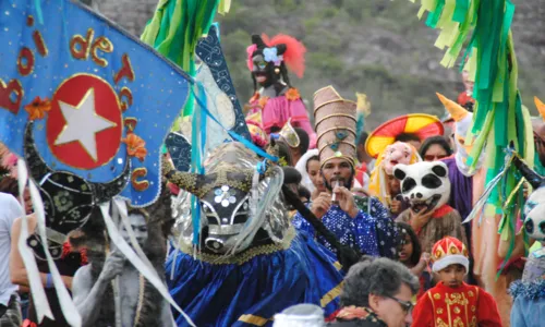 
				
					Movimento Boi Estrela de Igatu faz desfile de 18 anos no fim de semana
				
				