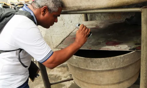 
				
					Muriçocas podem transmitir Febre do Nilo para humanos; entenda
				
				