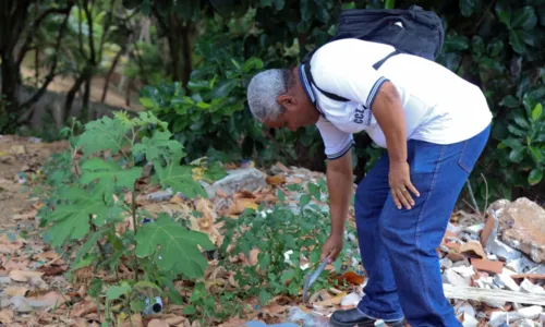 
				
					Muriçocas podem transmitir Febre do Nilo para humanos; entenda
				
				