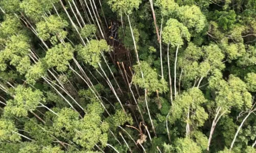 
				
					Onde é Paraibuna, local trágico da queda do helicóptero há 12 dias
				
				