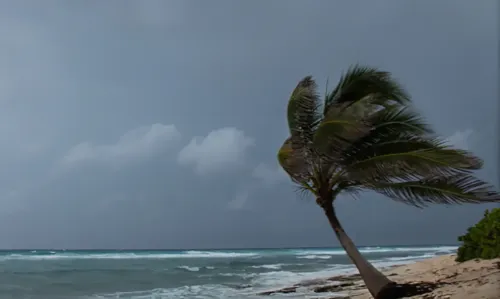 
				
					Ondina registra em 12h mais de 30% da chuva esperada para o mês
				
				