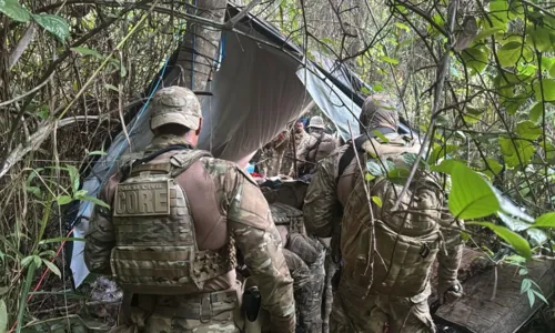 
				
					Operação desmonta acampamentos de suspeitos de tráfico de drogas na BA
				
				