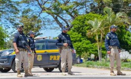 
				
					PRF flagra transporte ilegal de aves silvestres na Bahia
				
				