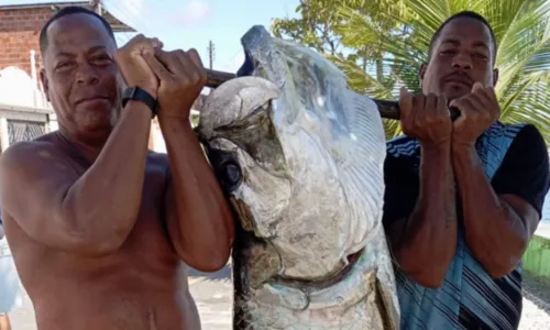 
				
					Peixe gigante: camurupim é pescado na Bahia; veja no Resenha das 7
				
				