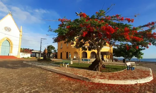 
				
					Policial militar é sequestrado em Vera Cruz, na Ilha de Itaparica
				
				