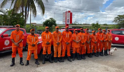 
				
					Porco-espinho é resgatado pelo Corpo de Bombeiros em Senhor do Bonfim
				
				