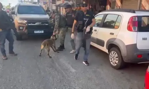 
				
					Pousadas são alvo de ação contra venda de drogas na Micareta de Feira
				
				