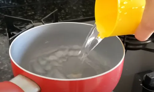 
				
					Repelente caseiro: fim das baratas e formigas com 3 ingredientes
				
				