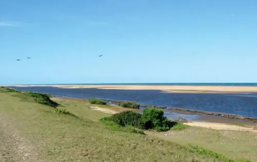 
				
					Saiba quais são as 8 praias de nudismo do Brasil; uma fica na Bahia
				
				