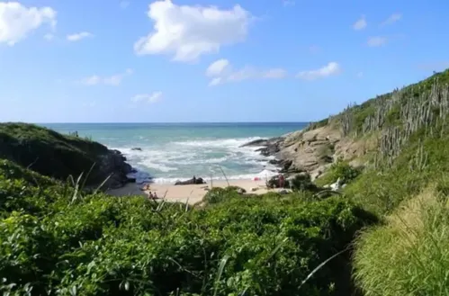 
				
					Saiba quais são as 8 praias de nudismo do Brasil; uma fica na Bahia
				
				