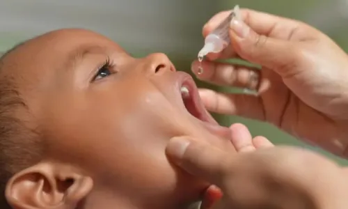 
				
					Salvador começa aplicação de vacina contra Poliomielite nesta segunda
				
				