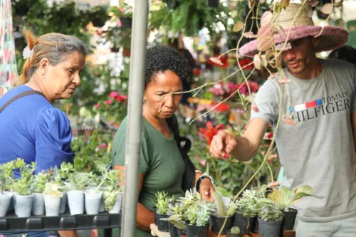 
				
					Salvador recebe a 1ª Feira Agroecológica nesta quinta (14)
				
				