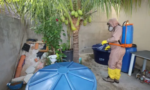 
				
					Salvador tem Dia D contra mosquito da dengue no fim de semana
				
				