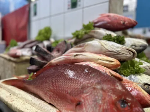 
				
					Semana Santa: como está o preço dos pescados nas feiras de Salvador?
				
				