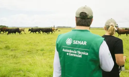 
				
					Senar abre 3 mil vagas para mais de 40 cursos gratuitos na Bahia
				
				