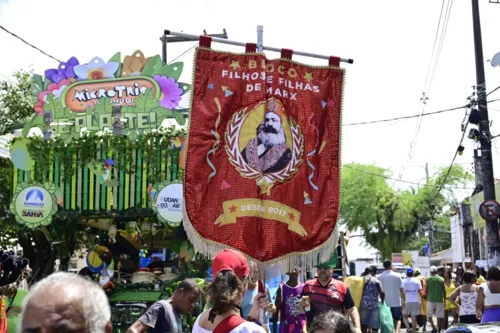 
				
					Tradicional Mudança do Garcia se prepara para desfile; veja fotos
				
				