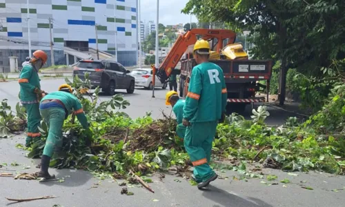 
				
					Trânsito é liberado após árvore ser retirada na Avenida Garibaldi
				
				