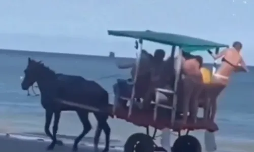 
				
					Transporte com animais é banido após exploração em Morro de São Paulo
				
				