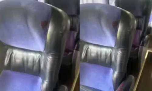 
				
					Turista francês é esfaqueado enquanto dormia em ônibus na BA
				
				