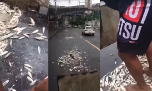 
				
					VÍDEO: Homens jogam sardinhas no entorno da Fonte Nova antes do BaxVi
				
				