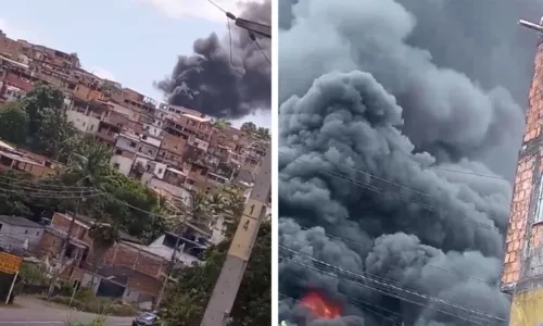 
				
					VÍDEO: Incêndio em vegetação assusta moradores de bairro de Salvador
				
				