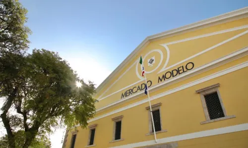 
				
					Veja o que mudou no Mercado Modelo após requalificação
				
				