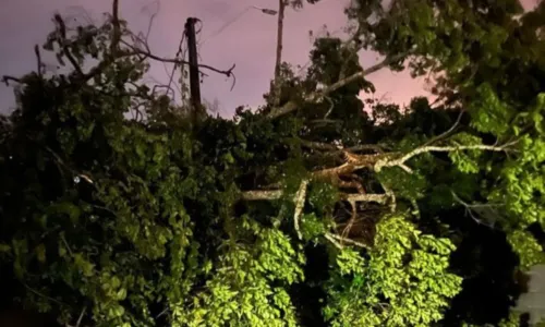 
				
					Vendaval deixa casas destelhadas e causa redemoinho em cidade da Bahia
				
				