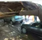 
                  Árvore cai, interdita rua e destrói carro no Jardim Apipema