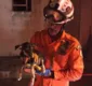 
                  Bombeiros resgatam cachorro preso entre duas paredes na Bahia