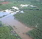 
                  Canudos e Jeremoabo recebem ações emergenciais após chuvas na região