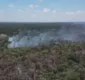 
                  Comunidades indígenas são atingidas por incêndio no extremo sul da BA