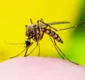 
                  Dengue: 54 cidades da Bahia podem ampliar a faixa etária da vacinação