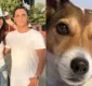 
                  Filho de Ivete Sangalo pede ajuda para encontrar cadela de estimação