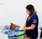 
                  Hospital Público Veterinário atende mais de 160 animais no 1º dia
