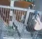
                  Mulher acaba pendurada seminua em portão em tentativa de furto; vídeo