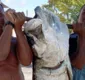 
                  Peixe gigante: camurupim é pescado na Bahia; veja no Resenha das 7