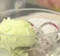 
                  Sobremesa: aprenda a fazer sorvete de uva com 2 ingredientes