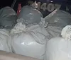 Polícia apreende 80kg de maconha em carro de passeio no interior da BA
