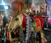 São João: Centro de Salvador recebe mais um dia de Carroçada da Saúde